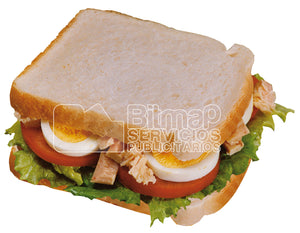 2-03 Sandwich vegetal